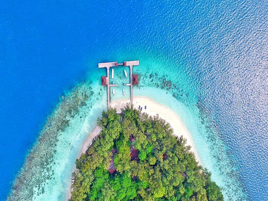 Jakarta: Thousand Island Tour with Canoeing and Snorkeling - How much value do you get for $197?