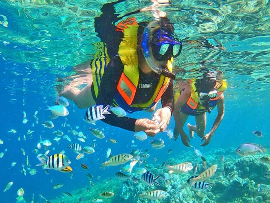 Jakarta: Thousand Island Tour with Canoeing and Snorkeling - Who will enjoy this day most?