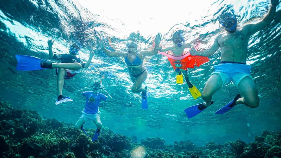 Jeddah: Guided Snorkeling Trip with Snacks and Drinks - Reaching the coral and meeting the guide