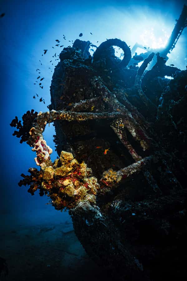 Jeddah: Guided Snorkeling Trip with Snacks and Drinks - My verdict on Haddad Scuba