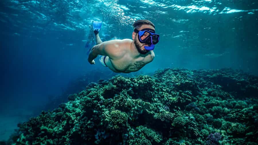 Jeddah: Guided Snorkeling Trip with Snacks and Drinks - What the five-and-a-half-hour schedule means