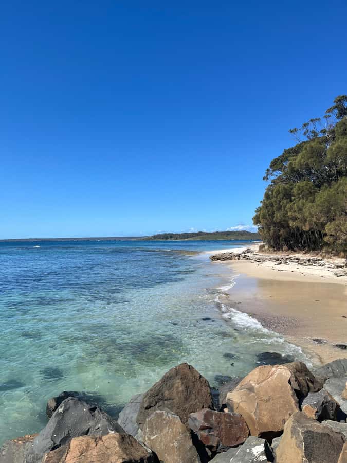 Jervis Bay: Guided Snorkelling Tour with expert guide - What you may see around Booderee National Park