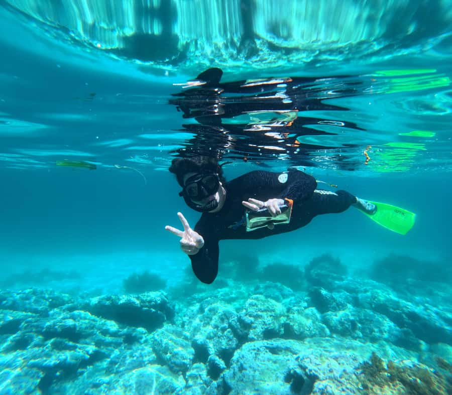 Jervis Bay: Guided Snorkelling Tour with expert guide - The water time: guided, calm and hands-on