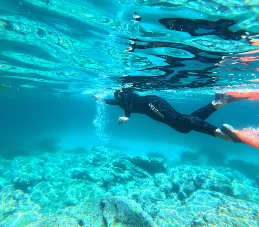 Jervis Bay: Guided Snorkelling Tour with expert guide - Why the small group matters