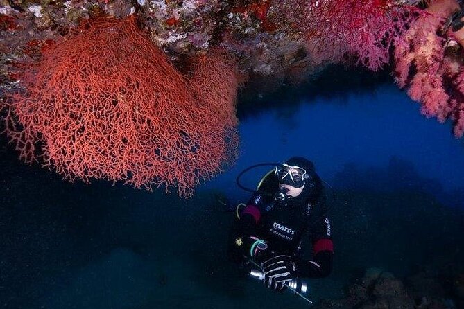 Journey of Diving or Snorkelling from a Boat - Snorkeling without the pressure of scuba