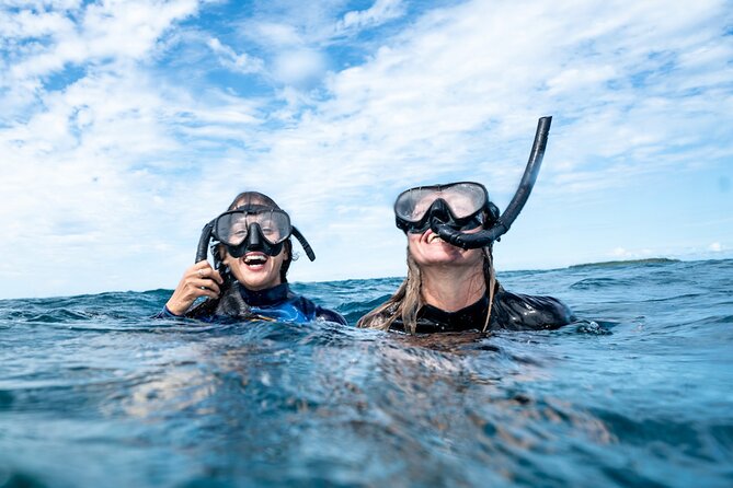Julian Rocks: Premier Snorkeling Tour Byron Bay - Who should book this Julian Rocks trip?