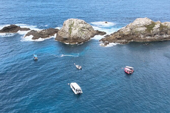 Julian Rocks: Premier Snorkeling Tour Byron Bay - Timing, weather and cancellation details