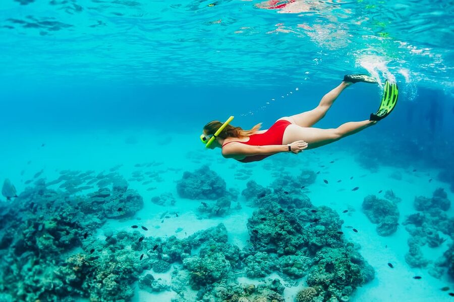 Ka'anapali Beach: Coral Reef Snorkel and Turtle Spotting - The parts that may surprise you