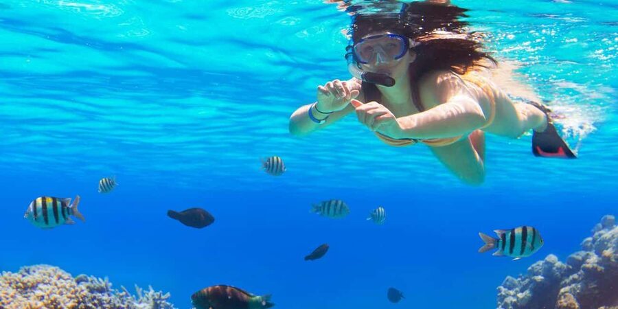 Ka'anapali Beach: Coral Reef Snorkel and Turtle Spotting - What you see below the surface