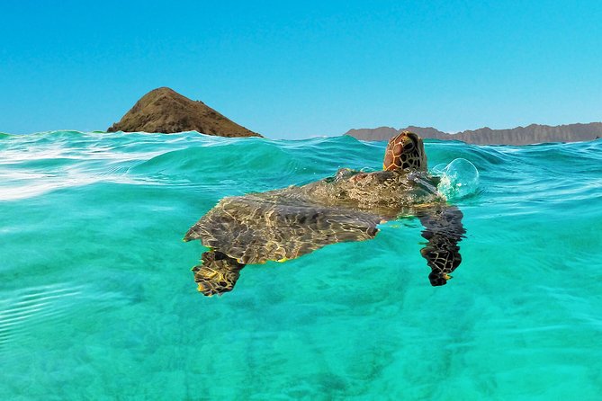 Kailua Bay, Oahu: Epic Kayak and Snorkel to Islands - Lunch, lockers, and the practical extras