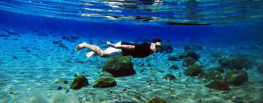 Kailua Kona: Dolphin, Sea Cave and Captain Cook Snorkel Tour - A fast start from Kailua Kona