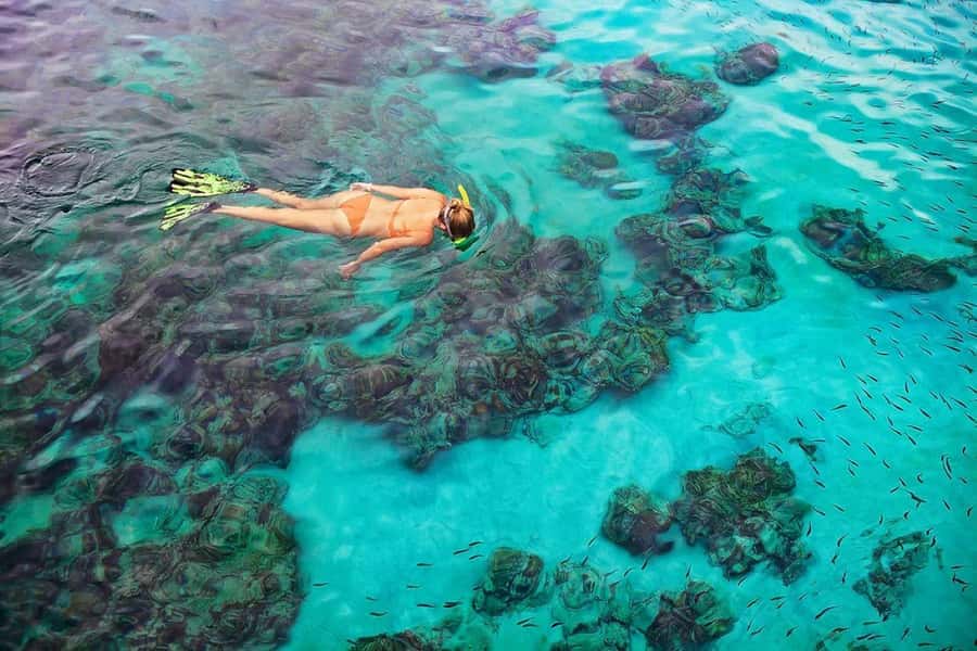 Kailua Kona: Dolphin, Sea Cave and Captain Cook Snorkel Tour - Why Captain Cook Monument matters