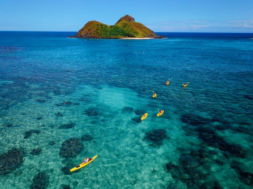 Kailua: Mokulua Islands Guided Kayak and Snorkeling Tour - Snorkeling at Kailua’s turtle-feeding grounds