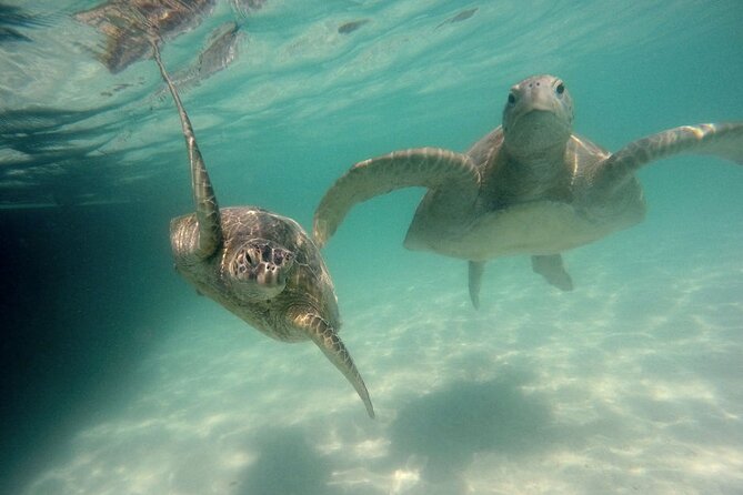 Kaneohe Sandbar Snorkeling Tour - 2nd Tour - Paddle boards, floats, and time to play