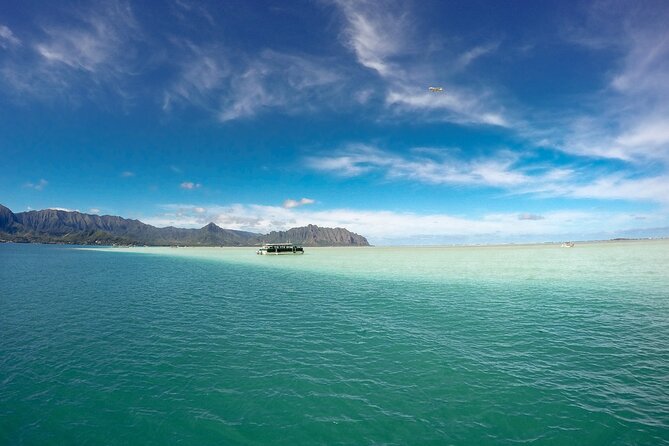 Kaneohe Sandbar Snorkeling Tour - 2nd Tour - The crew makes a real difference