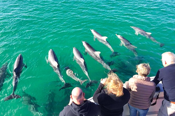 Kangaroo Island - Swim with Dolphins/Seals/Coastal Snorkel - Coastal snorkeling when nature changes the plan