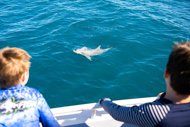 Kangaroo Island - Swim with Dolphins/Seals/Coastal Snorkel - What the $139.86 price buys you