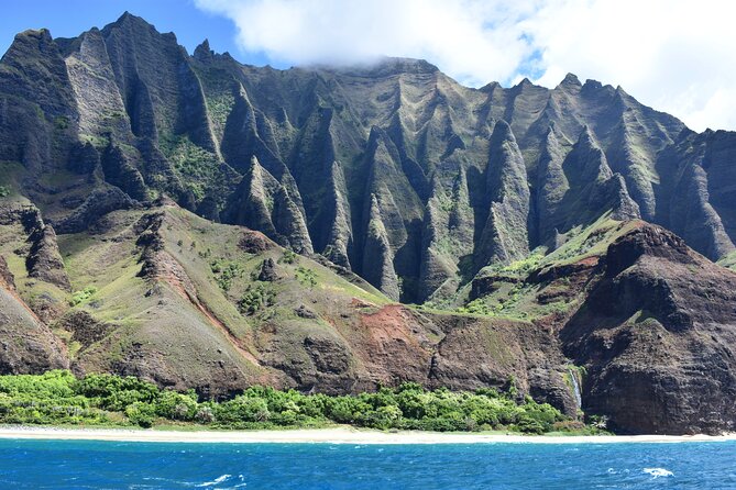 Kauai: Na Pali Coast Super Raft Snorkel Adventure - Wildlife: dolphins, whales, turtles, and fish