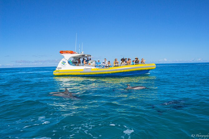 Kauai: Na Pali Coast Super Raft Snorkel Adventure - Snorkeling with turtles and tropical fish