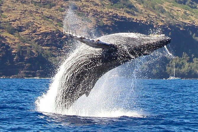 Kauai: Nā Pali Coast Zodiac Raft Expedition and Snorkeling - What the crew adds to the ride