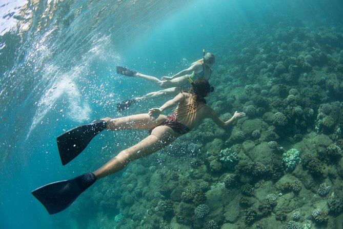 Kauai’s Na Pali Coast Snorkel and Sail Tour - Sailing is part of the promise, not a guarantee