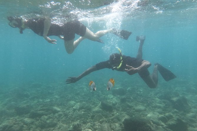 Kauai’s Ultimate Guided Shore Snorkel in South Poipu - Equipment, comfort, snacks, and water