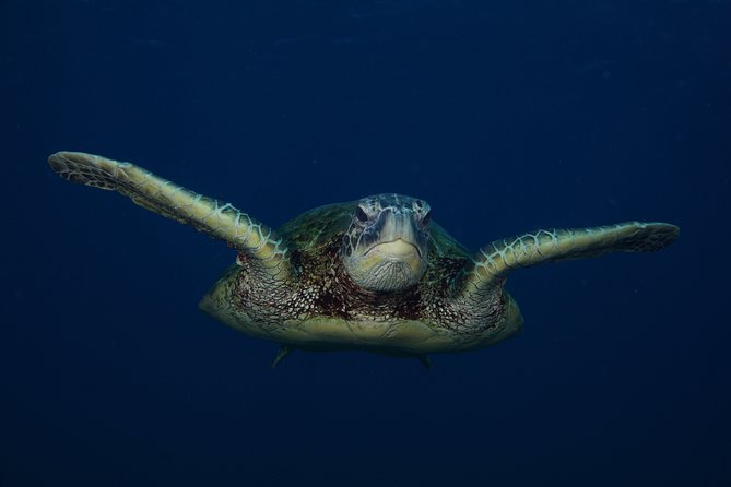 Kauai’s Ultimate Guided Shore Snorkel in South Poipu - Booking, weather, and cancellation details
