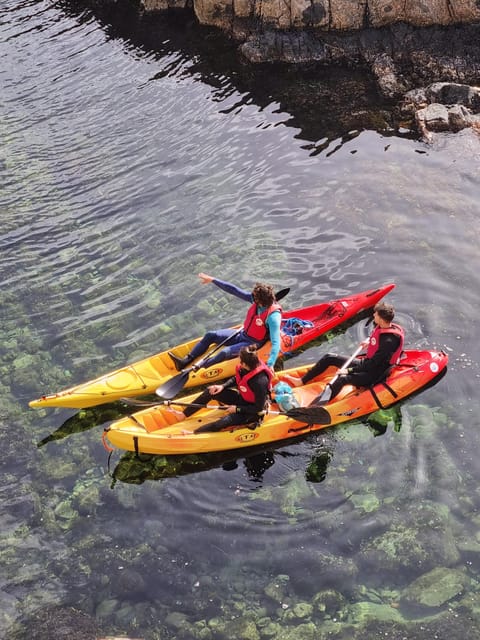 Kayak and snorkel Tour Platja d'Aro - Why this stretch of Costa Brava works well by kayak