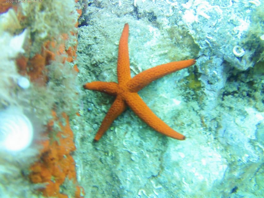 Kayak and snorkel Tour Platja d'Aro - Finding the beach center before the port