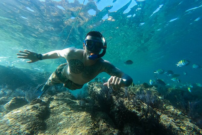 Kayak Expedition to the Arch of Cabo San Lucas, Lovers Beach & Snorkel - Who will enjoy this Cabo kayak tour