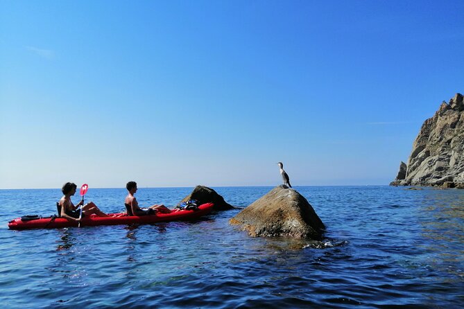 Kayak experience with Carnassa Tour in Cinque Terre + Snorkeling - Caves, rocks, and the coastal details