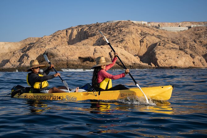 Kayak from Viudas Beach to Chileno Bay & Snorkel + Beach Time - Should You Book the Las Viudas to Chileno Bay Tour?