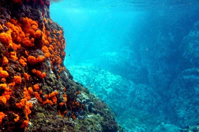 Kayak & Snorkel Tour in Cerro Gordo Natural Park, La Herradura - Key things to know before you book