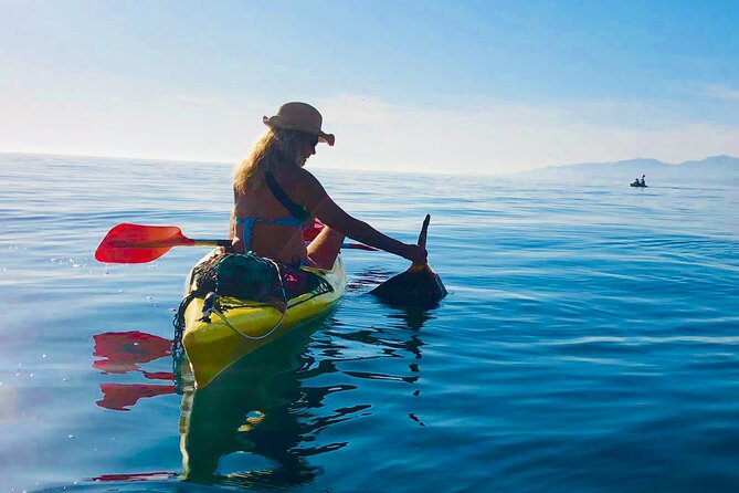 Kayak & Snorkel Tour in Cerro Gordo Natural Park, La Herradura - Snorkeling: enjoyable, but not guaranteed to be spectacular