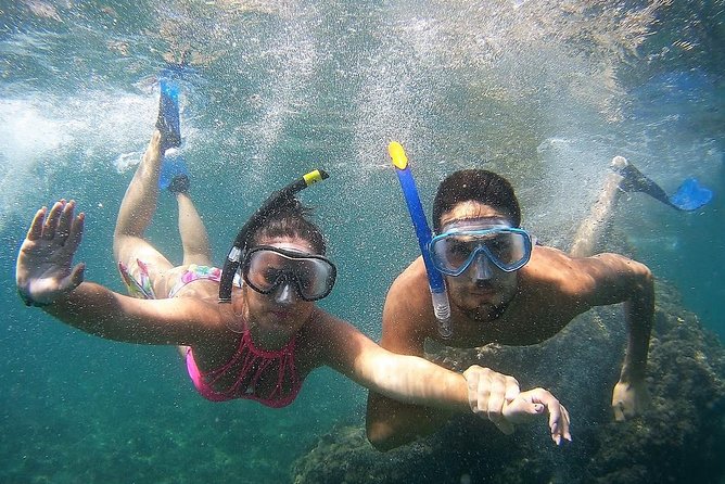 Kayak & Snorkel Tour in Cerro Gordo Natural Park, La Herradura - The guides make a practical difference