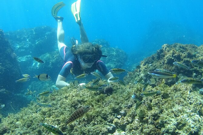 Kayak & Snorkel Tour in Cerro Gordo Natural Park, La Herradura - Who will enjoy this tour most
