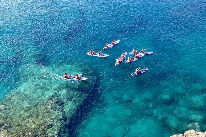 Kayak & Snorkelling in Papagayo - Is $62.05 Good Value?