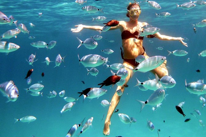 Kayak Tour with Snorkeling and Local Aperitif - Why this kayak trip works so well around Olbia