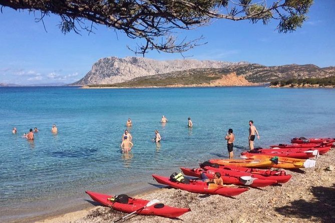 Kayak Tour with Snorkeling and Local Aperitif - Is the $66.54 price fair?