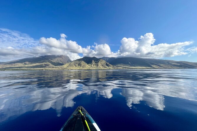 Kayak & Turtle Town Snorkel(Turtles Guaranteed) + Whale Watching - Why Olowalu makes a good launch point