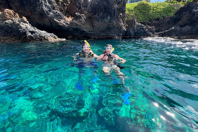 Kayak & Turtle Town Snorkel(Turtles Guaranteed) + Whale Watching - Equipment, photos, and what the $119 price buys