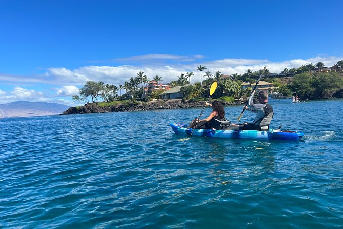 Kayak & Turtle Town Snorkel(Turtles Guaranteed) + Whale Watching - Who will enjoy this tour most