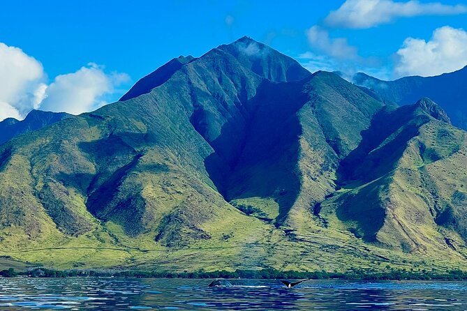 Kayak & Turtle Town Snorkel(Turtles Guaranteed) + Whale Watching - Kayaking along the West Maui coast