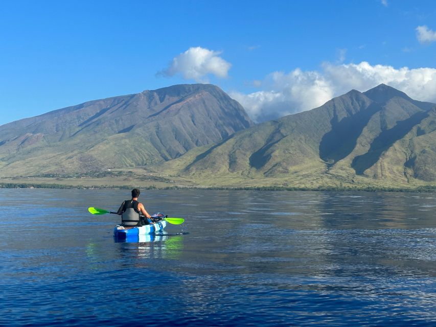 Kayak, Whale Watch And Snorkel At Turtle Town - Key points to know before you book