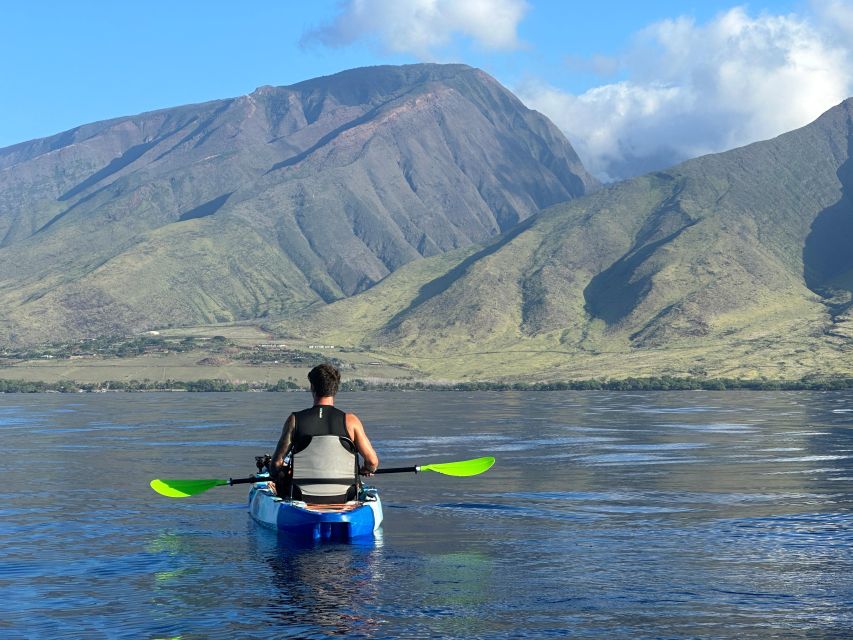 Kayak, Whale Watch And Snorkel At Turtle Town - What makes the turtle stop memorable