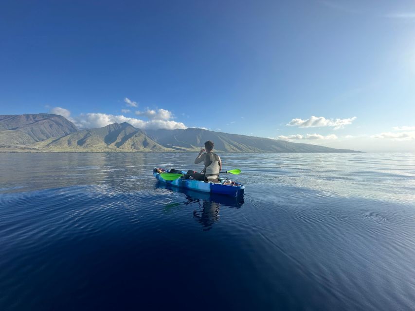Kayak, Whale Watch And Snorkel At Turtle Town - What $109 means for the value