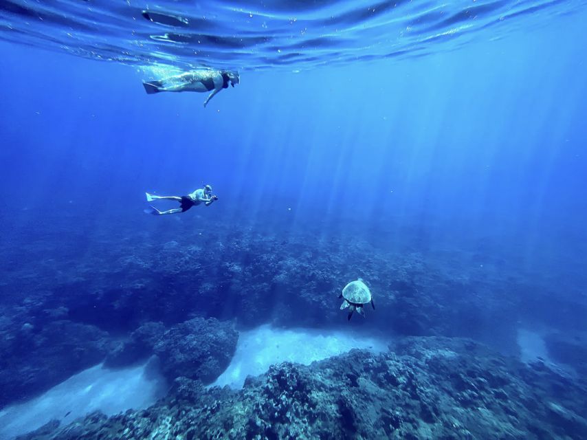 Kayak, Whale Watch And Snorkel At Turtle Town - Who will enjoy this three-hour outing