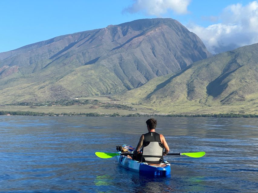 Kayak, Whale Watch And Snorkel At Turtle Town - Practical planning for the morning
