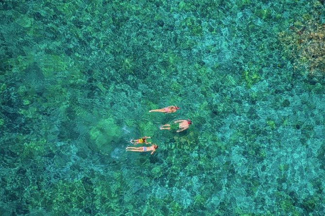 Kealakekua Bay Afternoon Snorkel: Family Fun on the Kona Coast - Slides and a platform make this more than a snorkel stop