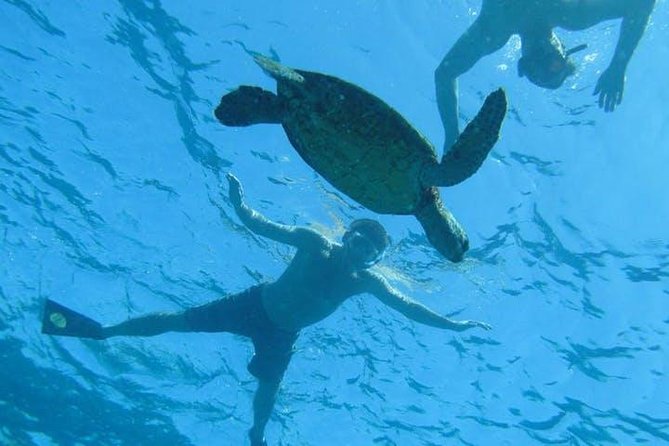 Kealakekua Bay Captain Cook Snorkel Exclusive - Leaving from Kailua-Kona